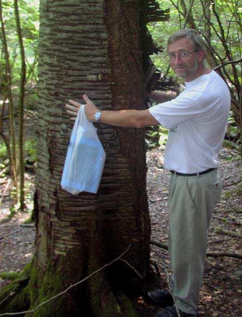 Grundvatten tränger fram i nedre delen av sluttningen och skapar översilningskärr i både skogen och hagmarken.
