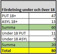 Socialförvaltningen Underlag till avrop avsatta medel för ensamkommande 2018 2018-09-11 3 [3] Bilaga 1
