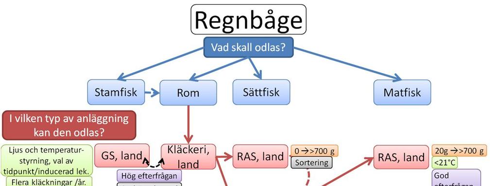 Det är lättare att hitta möjliga odlingslokaliseringar för regnbåge i Sverige än för röding och öring, då arten klarar av en något högre