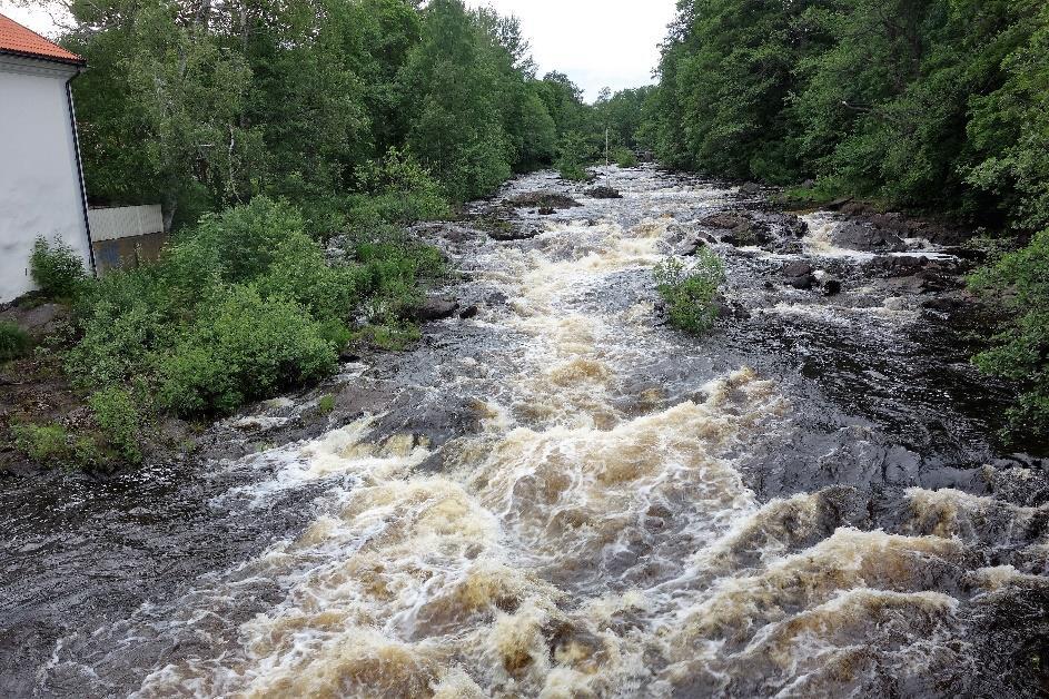 FISKEVÅRDSARBETET I TESTEBOÅN 216 När allt vatten får rinna i den naturliga åfåran här vid Strömsbro istället för genom kraftverket hittar fisken upp till sina lekområden.