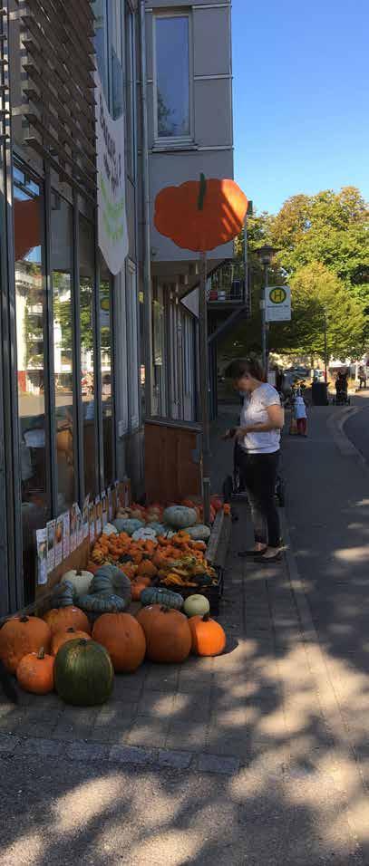 9 LEVANDE STADSDELAR, GEMENSKAP OCH SOCIAL STABILITET I Tyskland framhålls att byggemenskaperna bidrar till social stabilitet i sin stadsdel.