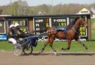 Öppettier: Mån-ons - och -, tors-fre - Banans upplopp: meter Entré: fri entré Drive in: fri Uner år Gratis (leg. erforras) VD Dag Ener - Sportchef Jan-Olof Molin - Jan-olof.molin@halmsta.travsport.