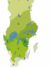 2019 för södra Svealand & Götaland 2 vallår Baserat på eng.