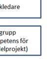 Organisationsschemat