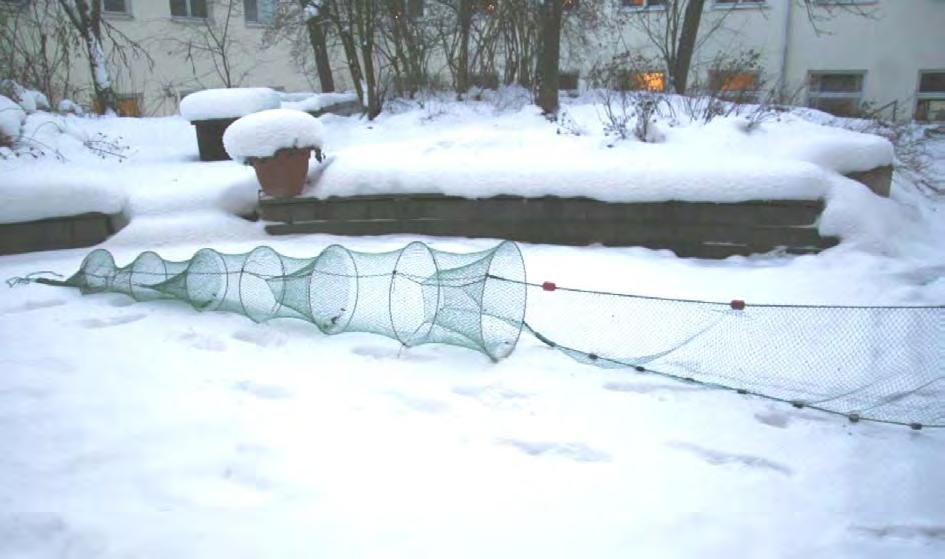 Material och metoder Provfisket utfördes med s.k. parryssjor (se figur 1) som är 14 meter långa med en ca 3 meter lång fångsstrut.