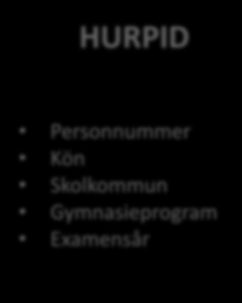 + ProgramTyp HURPID