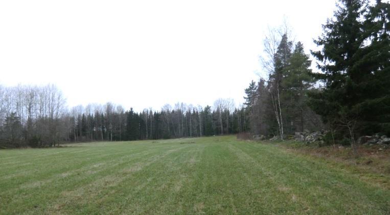 Enligt planen uppgår skogsmarken till 31,3 ha, med ett virkesförråd om 4 660 m³sk varav 2 400 m³sk är S1- och S2-skog.