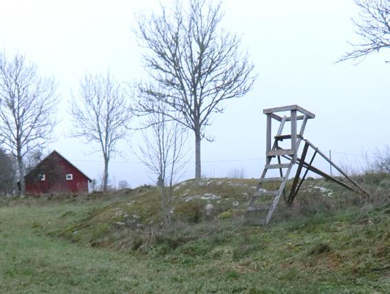 Jakt Inägomark Inägomarken uppgår enligt skogsbruksplanen till 16,3 ha och är enligt skriftligt 5-årsavtal t.o.m 2022.