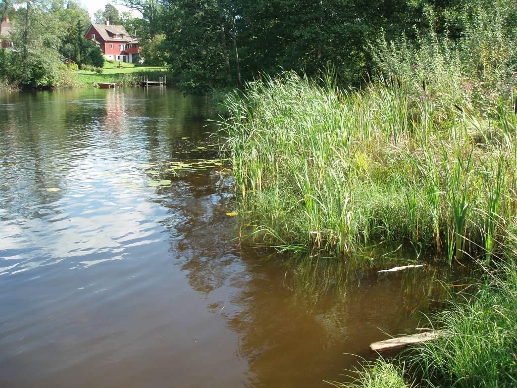 2.1.2 Förbättringsbehov Förbättringsbehovet baseras på skillnaden mellan uppmätt fosforkoncentration i vattendraget och den koncentration som krävs för att nå god ekologisk status.