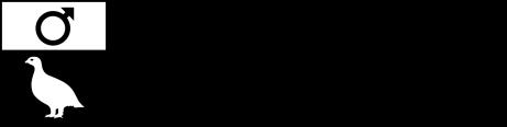kommun, 981