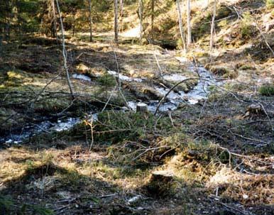 Otillfredsställande naturhänsyn jämfört med rekommendationerna i Skogsvårdslagen och kraven i FSC-standarden. Låg ambitionsnivå! Mer hänsyn till hällmarksimpedimentet borde ha tagits.