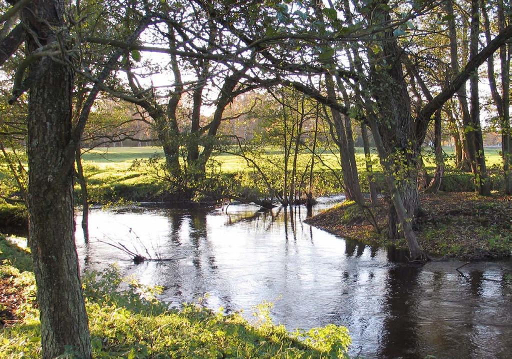 3140 Kransalgsjöar 3150 Naturligt näringsrika sjöar 3160 Myrsjöar 3260 Mindre vattendrag 6430 Högörtängar Natura 2000-nätverket i Lunds kommun I Lunds kommun finns 20 Natura 2000-områden, 2 av dessa