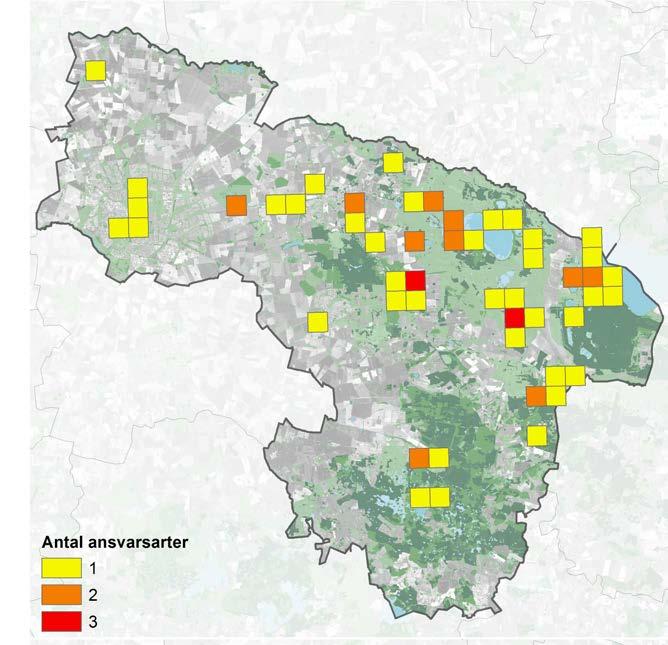 34 35 Arter I vår tid försvinner årligen upp till tusen gånger fler arter än vad som skulle gjort utan människans påverkan.