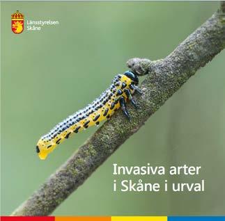 Livskraftiga artpopulationer Det finns flera olika bedömningar av hur många arter det finns på jorden och de flesta ligger inom intervallet 10-100 miljoner.