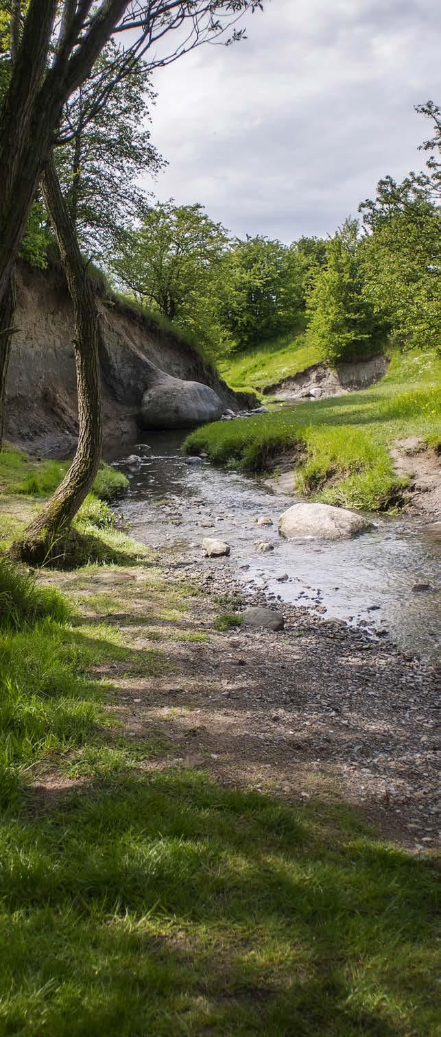 1 Grönprogram för Lunds kommun Samrådshandling Framtagen av Stadsbyggnadskontoret och Tekniska förvaltningen på uppdrag av kommunstyrelsen i Lunds kommun.