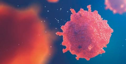 Att stänga av enzymer som är viktiga för överlevnaden hos växande celler är en lovande strategi för att bekämpa cancer.