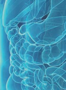 HUVUD- OCH HALSCANCER OPDIVO vid huvud- och halscancer av skivepiteltyp (SCCHN) hos vuxna som