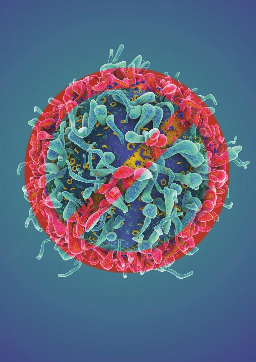 bröstcancer Tionde nordiska symposiet om