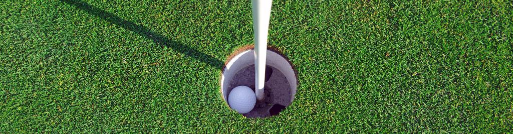 Hole in one? Vi visar dig gärna FINQR Medlemsservice för Golfklubbar och svarar på dina frågor Vi kallar oss för ett mänskligt mjukvarubolag.