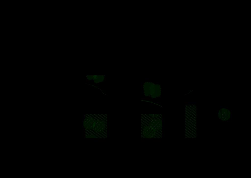 EXPLOATERINGSAVTAL