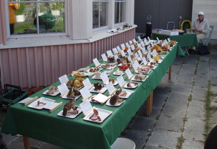 Foto: Karin Kellström Svampens dag och svamputställning på Jamtli i