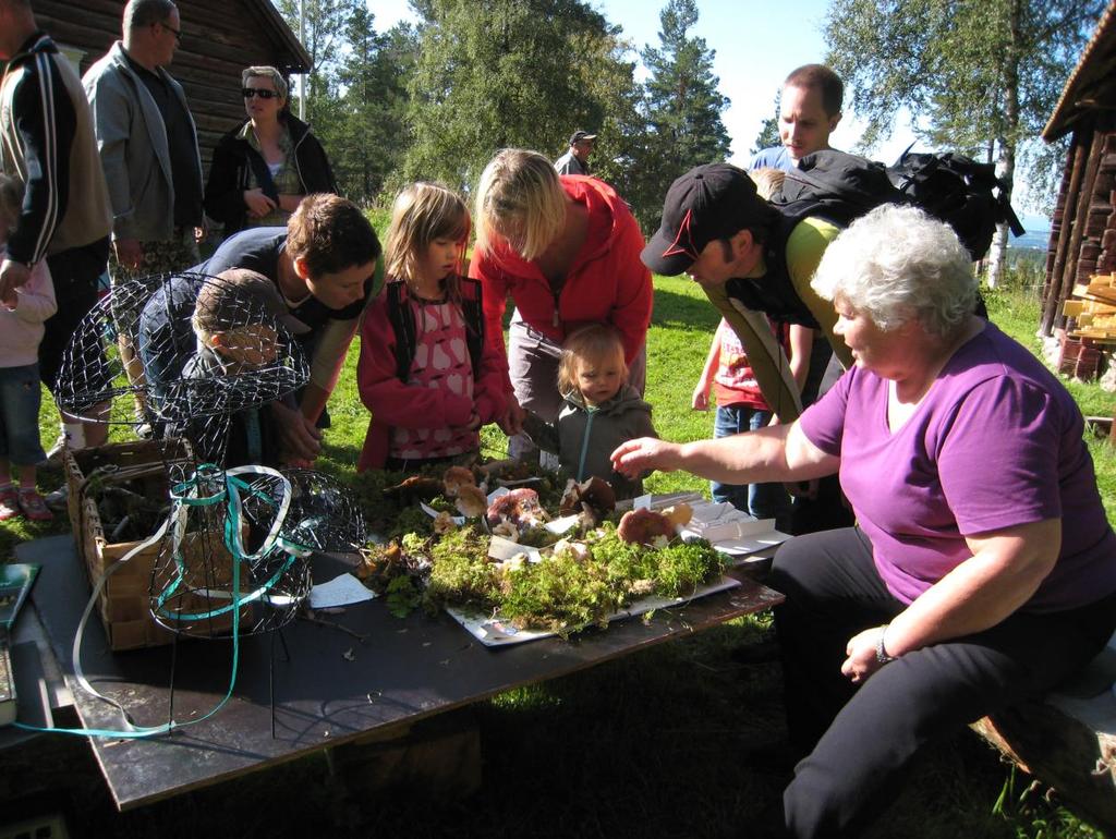 Syftet med Skogens dag är att öka kännedom och kunskap om skogens alla värden och dess betydelse för individen och samhället. Det är ett tillfälle att berätta om skogen och vad du kan göra i skogen.