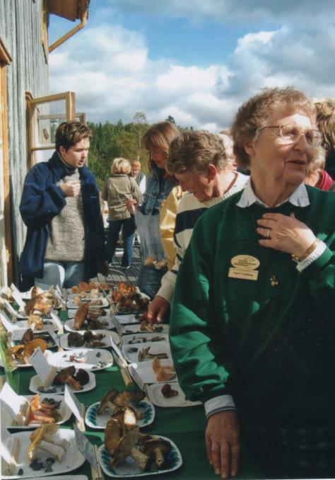 Lars Lundberg, Gunnel Avehag, Maj-Britt Såthe, Birgit Ström, Mi Bringsaas