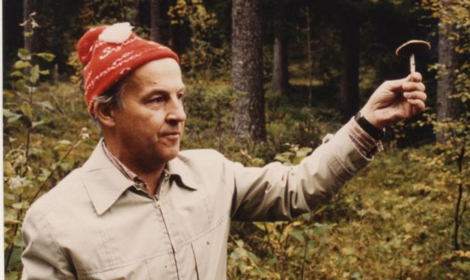 Historik Östersunds Mykologiska förening fyller 40 år den 29 november 2017.