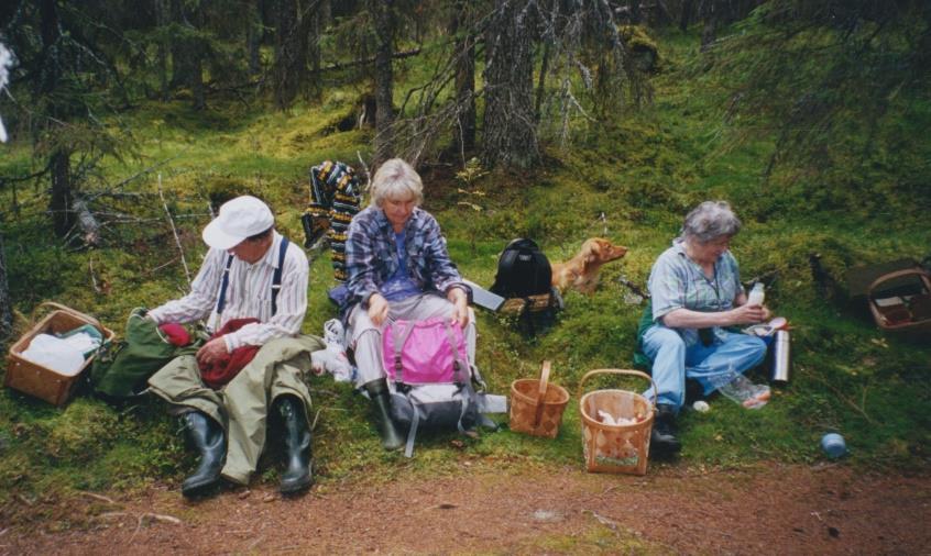 mesta har dessa utflykter gått till fjällen, tex Kall,