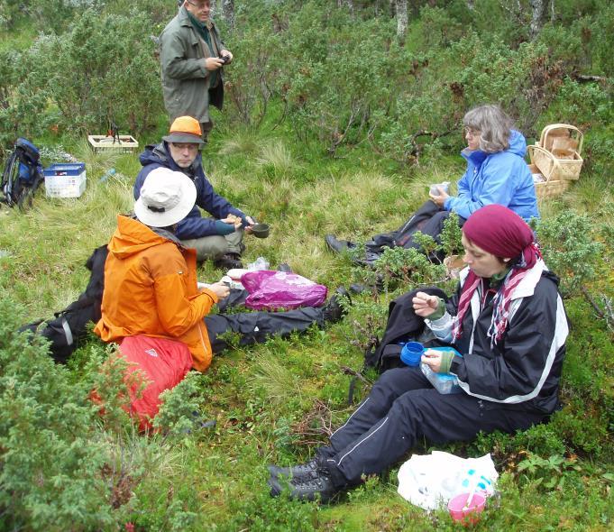 Maj-Britt Såthe, Anita Stridvall, Stig Jacobsson och Birgit Ström vid Nulltjärn.