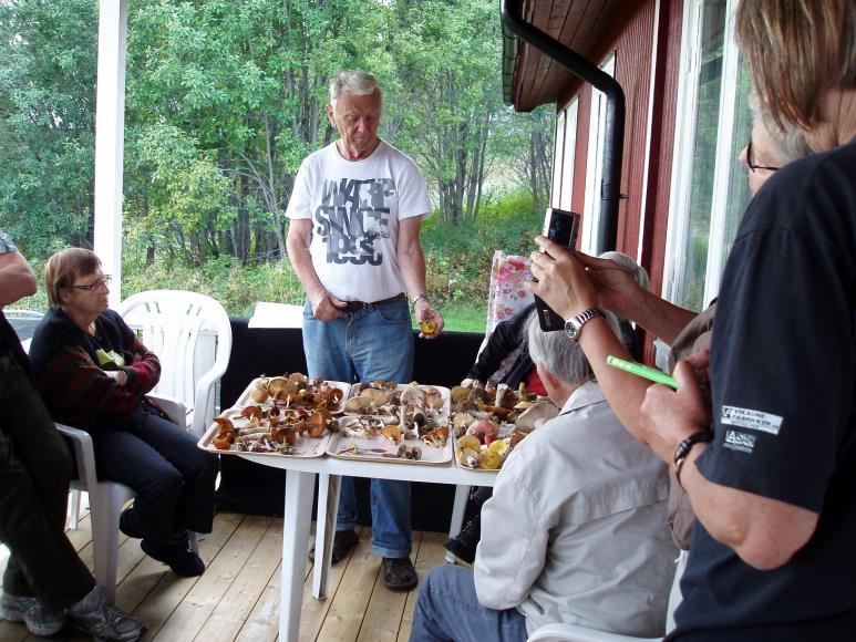 Mycket roligt att vi kunde fånga upp Stig och Anita på deras väg till SMF:s svampvecka i Jokkmokk.