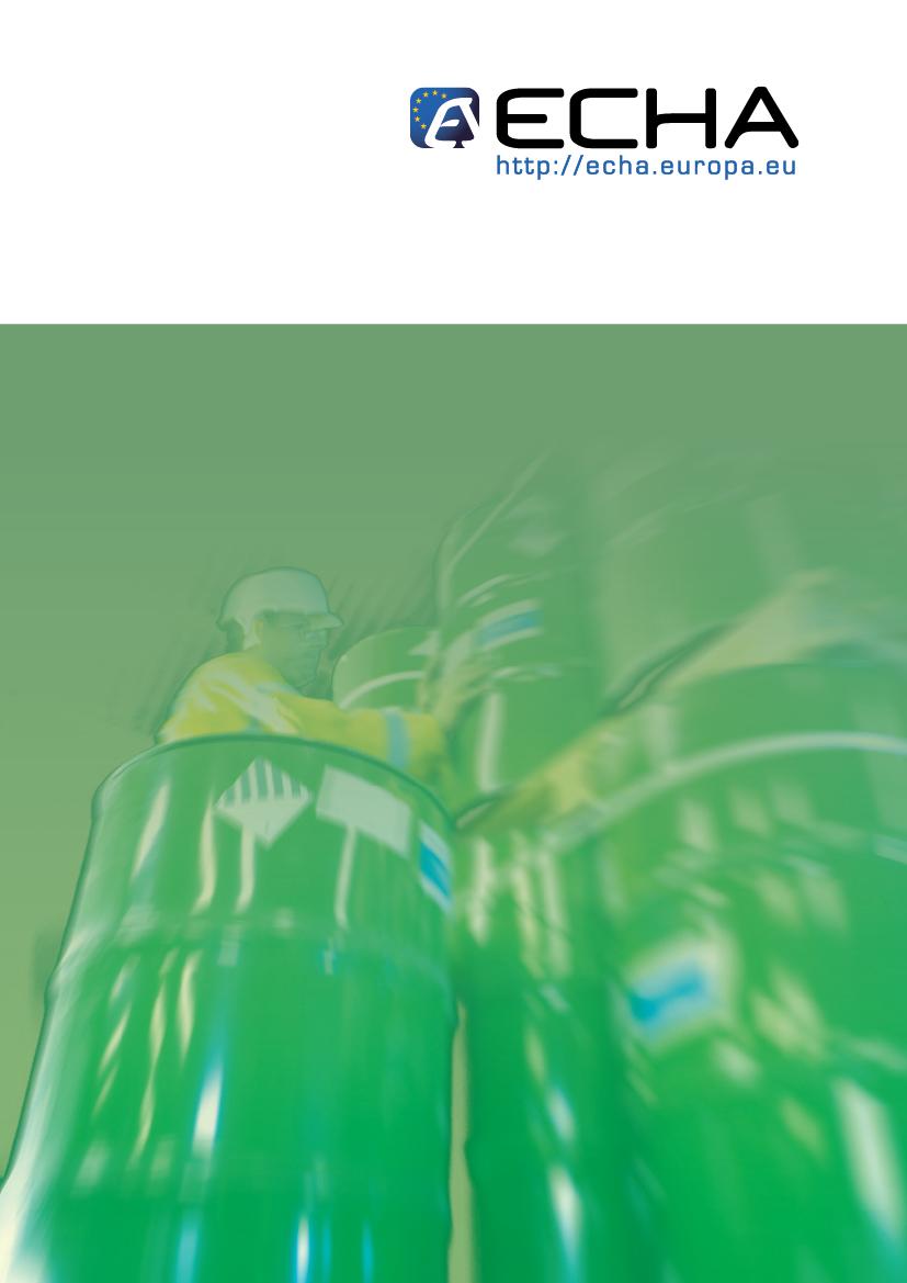 Vägledning om informationskrav och kemikaliesäkerhetsbedömning Format för exponeringsscenarier Del D: