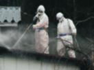 24 HELG SvD söndag 11 mars 2012 ichiko Horie med sonen Yusei från iyagi är tacksam för att båda barnen och maken lever. 1580 barn förlorade en eller båda föräldrarna. De flesta bor nu hos släktingar.