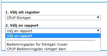 4. Klicka på Generera rapport ett nytt fönster öppnas.