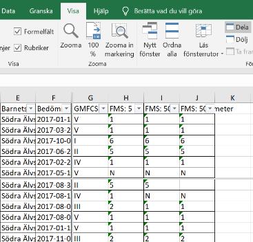 Om du bara vill ha en bedömning per barn synlig i din lista kan du få det: Under Data/Sortera och filtrera till höger om tratten ser du Avancerat. Klickar du på den får du fram vidstående ruta.