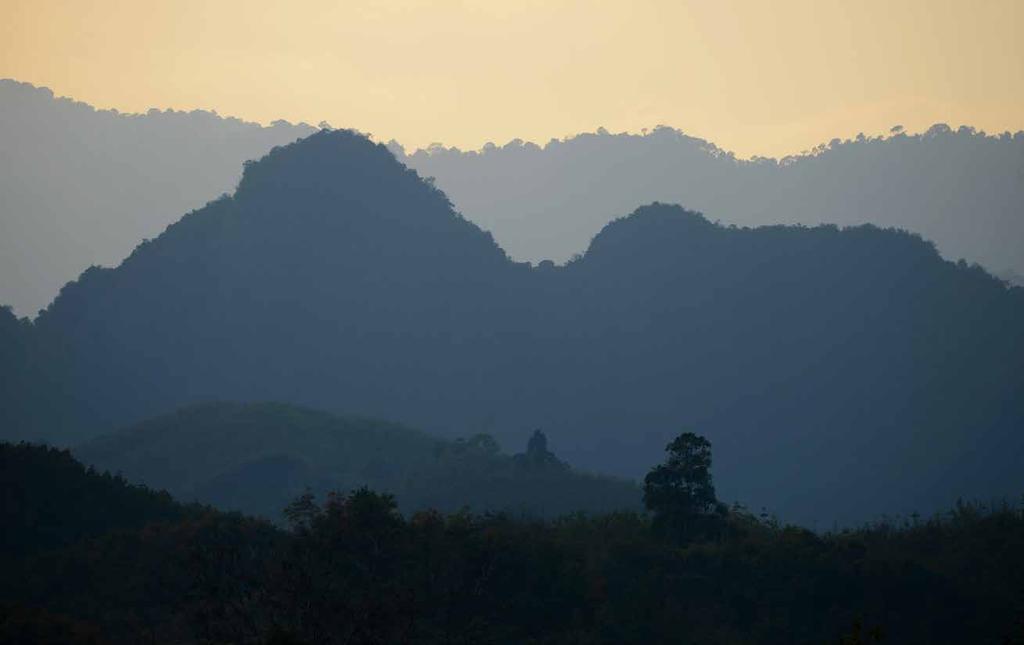 Khao Sok med omgivningar Korta fakta: Khao Sok nationalpark ligger i provinsen Surat Thani.