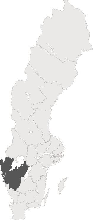 Västra Götaland Folkmängd 2012: 1 600 447 Yta: 23 797,3 km 2 Antal kommuner: 49 Befolkningstäthet: 67,2 invånare/km 2 (riket 23,4) Andel befolkning 0-18 år: 21,4% (riket 21,2) Medelålder: 41 (riket