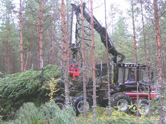 Norrhydros, NH 16 timmergrip som utrustats med ett sågsvärd för fällning och ka