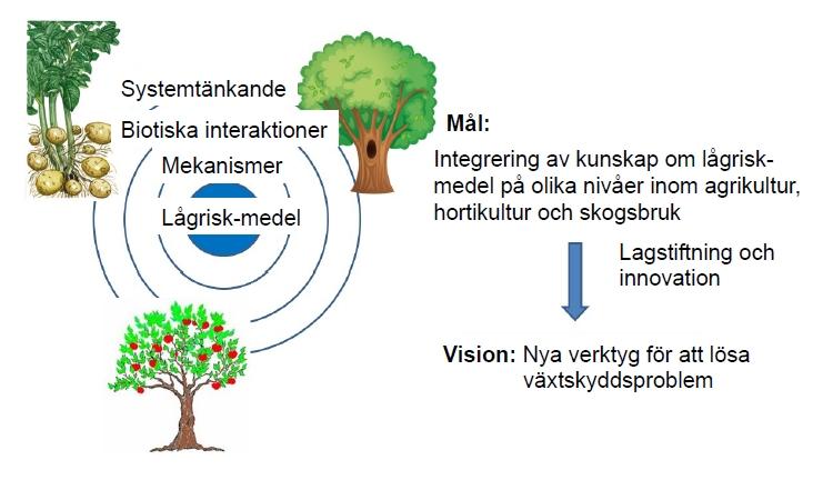 Lågrisk-medel i växtskyddet www.slu.