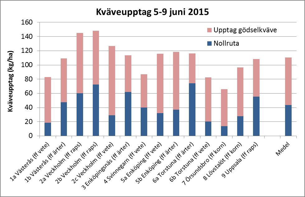 I de fält som ännu inte kompletteringsgödslats så har ca 40-55% av tillfört kväve utnyttjats så här långt.