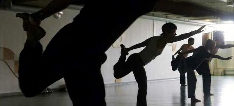 KOMPETENSFÖRSÖRJNING 53 Antalet personer som tecknat egna friskvårdskort har ökat. gemensamt definierade nyckeltal som stöd för att underlätta en långsiktig uppföljning av hälsosituationen.