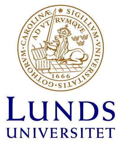 Lunds universitet, Sociologiska institutionen Den genuine konvertiten En sociologisk analys kring identitet och social ordning vid