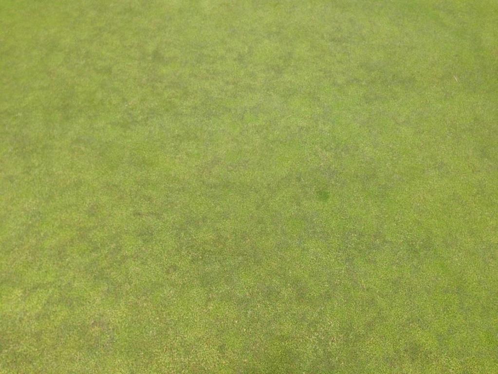 och 17 är att på den senare green 17 har