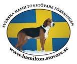 Verksamhetsberättelse Svenska Hamiltonstövareföreningen 2017 Styrelsen får härmed avge följande verksamhetsberättelse för tiden 2017-01-01 t o m 2017-12-31 Styrelse Krister Olson ordförande kassör