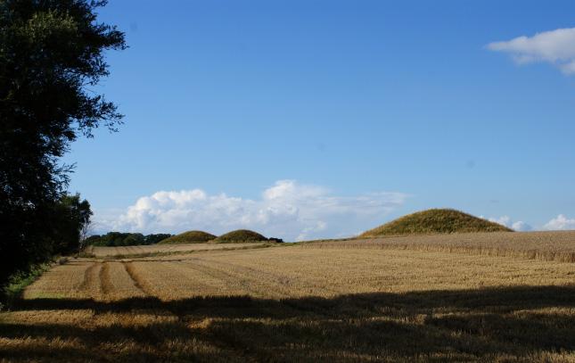 Söderslätts pärlor 7 pilgrimsvadrig till Villie, Hammarlöv och Tommarp Villiehögara Hammarlövs Carl vo Lié BASFAKTA Lägd: Tid: Terräg: Start & mål: Heliga platser: Service: ca 13 km 4-5 timmar (3