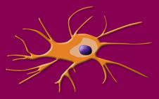 Immunologi CORE 2018 Vad har immunsystemet för funktioner? Bra och dåliga?