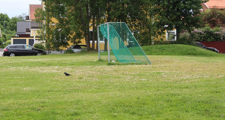 Fotbollsplanen studerades under flera tider på dynget och under både en vardag och en helgdag.