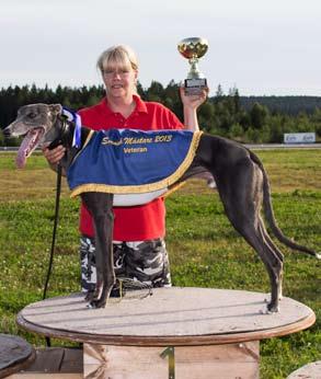 SM Whippet Öppen Klass,