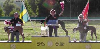 Nualas Star Challenge. Fr.v. tvåa No More Legend, med handler, segraren Sorrento, Mona Augustsson och trea Risto, Lena Nyström. Sylvias Flash Sprintderby, fr. v.