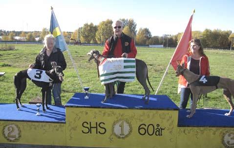 Advantage Masters. Fr.v. tvåa Iam Knatte, etta Sorrento, trea Mr Benchmark, fyra Risto, femma Winnertip, sexa Hazel O'Hannah. mark, 2. Risto, 3. Sorrento, 4. Iam Knatte, 5 Winnertip, 6.